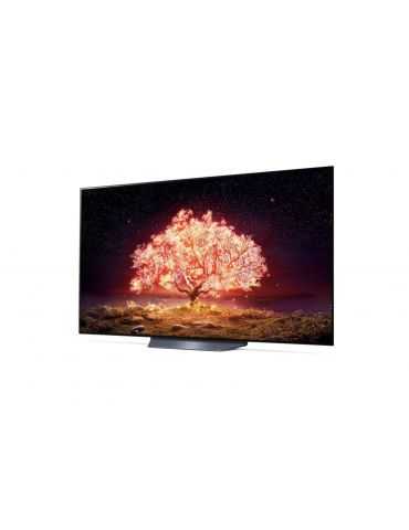 LG OLED65B13LA televizor 165,1 cm (65") 4K Ultra HD Smart TV Wi-Fi Negru, Gri Lg - 2