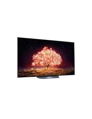 LG OLED65B13LA televizor 165,1 cm (65") 4K Ultra HD Smart TV Wi-Fi Negru, Gri Lg - 6
