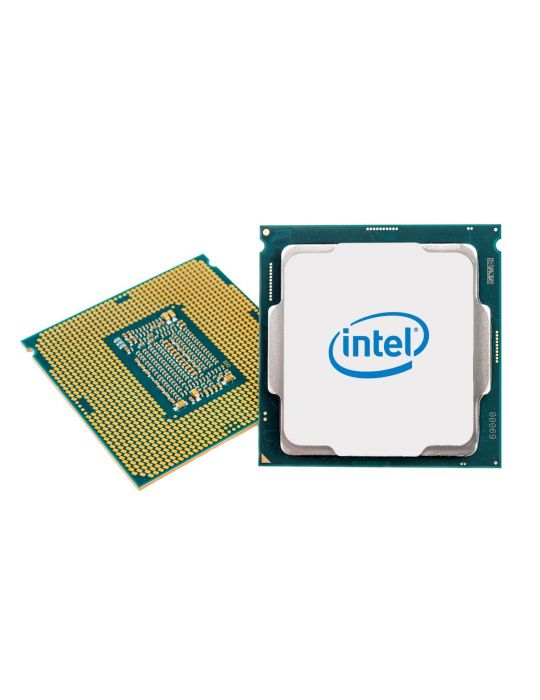 Intel Core i5-11600KF procesoare 3,9 GHz 12 Mega bites Cache inteligent Casetă Intel - 3