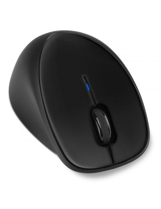 HP Mouse wireless Comfort Grip Hp - 2