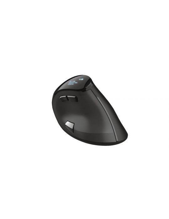 Trust Voxx mouse-uri Mâna dreaptă RF Wireless + Bluetooth Optice 2400 DPI Trust - 3