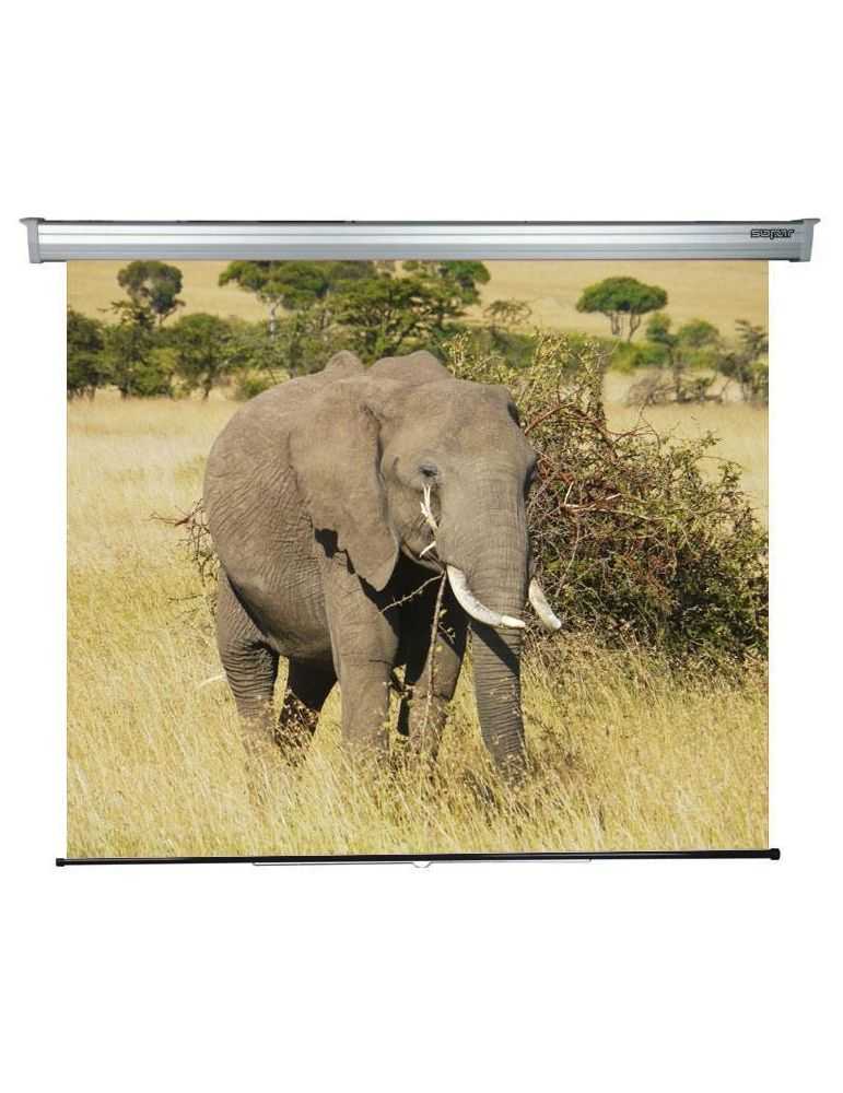 Ecran de proiectie Sopar Platinum SP3220PL, 1:1, 220x200 cm