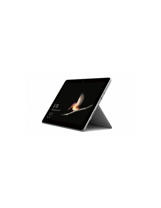 Microsoft Surface Go 64 Giga Bites 25,4 cm (10") Intel® Pentium® 4 Giga Bites Wi-Fi 5 (802.11ac) Windows 10 Pro Argint Microsoft