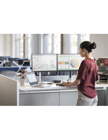 HP E-Series E22 G4 54,6 cm (21.5") 1920 x 1080 Pixel Full HD LCD Negru, Argint Hp - 7