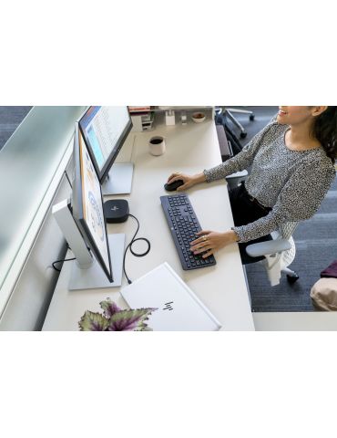 HP E-Series E22 G4 54,6 cm (21.5") 1920 x 1080 Pixel Full HD LCD Negru, Argint Hp - 8