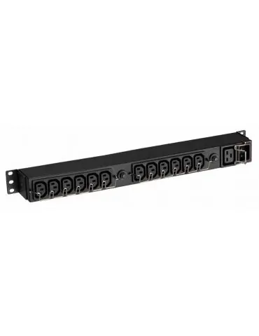 Eaton EFLX12I unități de distribuție a energiei electrice (PDU) 13 ieșire(i) AC 1U Negru Eaton - 1 - Tik.ro