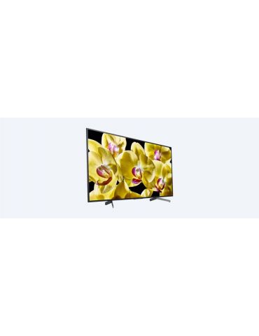 Sony KD-65XG8096 165,1 cm (65") 4K Ultra HD Smart TV Wi-Fi Negru, Argint Sony - 2