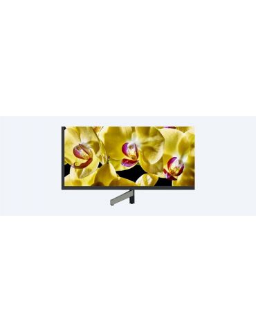 Sony KD-65XG8096 165,1 cm (65") 4K Ultra HD Smart TV Wi-Fi Negru, Argint Sony - 6