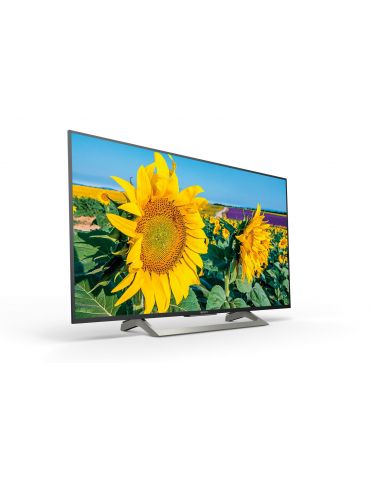 Sony KD-55XF8096 139,7 cm (55") 4K Ultra HD Smart TV Wi-Fi Negru Sony - 2