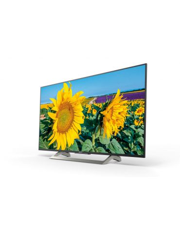 Sony KD-55XF8096 139,7 cm (55") 4K Ultra HD Smart TV Wi-Fi Negru Sony - 3