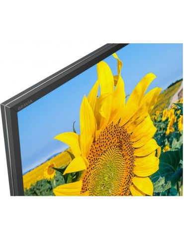 Sony KD-55XF8096 139,7 cm (55") 4K Ultra HD Smart TV Wi-Fi Negru Sony - 4
