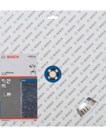Bosch Disc diamantat granit/piatra 300x20/25.4 Best Bosch - 1