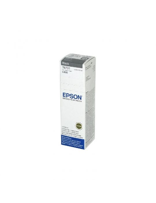 Cartus cerneala Epson T6731 Black Epson - 1