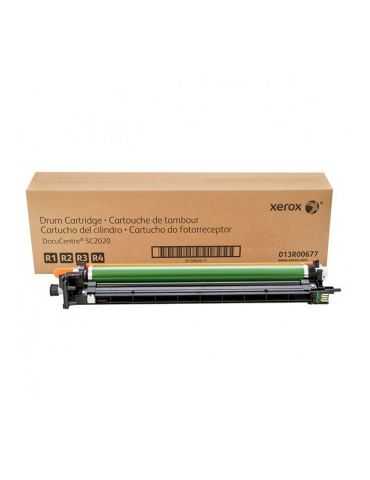 Drum unit - cilindru imprimare  Xerox 013R00677 Blk/C/M/Y Xerox - 1 - Tik.ro