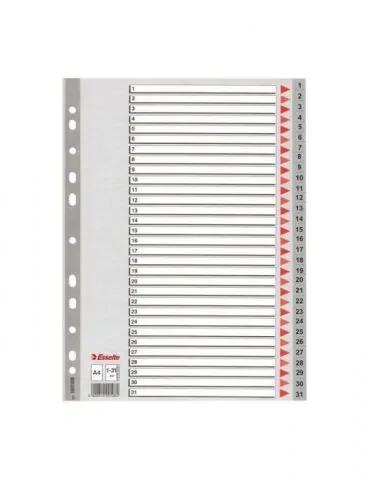 Index din plastic esselte a4 index 1-31 Esselte - 1 - Tik.ro