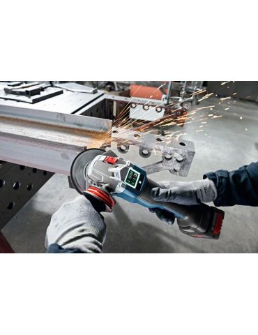 Bosch 1 600 A01 C4K fără categorie Bosch - 3