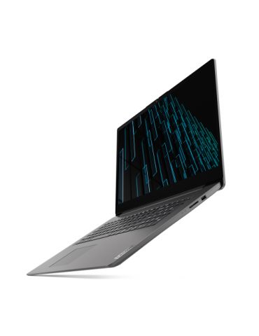 Laptop Lenovo V17 G2 ITL, Intel Core i7-1165G7, 17inch, RAM 8GB, SSD 512GB, nVidia Geforce MX350 2GB, No OS, Iron Grey Lenovo - 