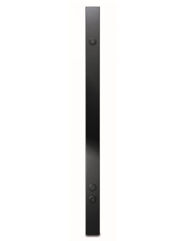 APC AP8858 unități de distribuție a energiei electrice (PDU) 20 ieșire(i) AC 0U Negru Apc - 2
