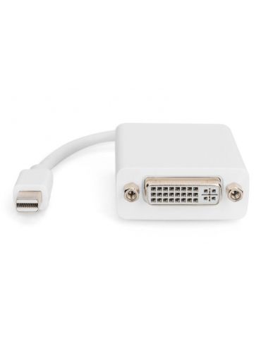 Digitus adaptor cable mini displayport st - dvi-d bu 24+5 ak-340406-001-w Digitus - 1