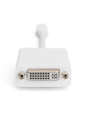 Digitus adaptor cable mini displayport st - dvi-d bu 24+5 ak-340406-001-w Digitus - 1