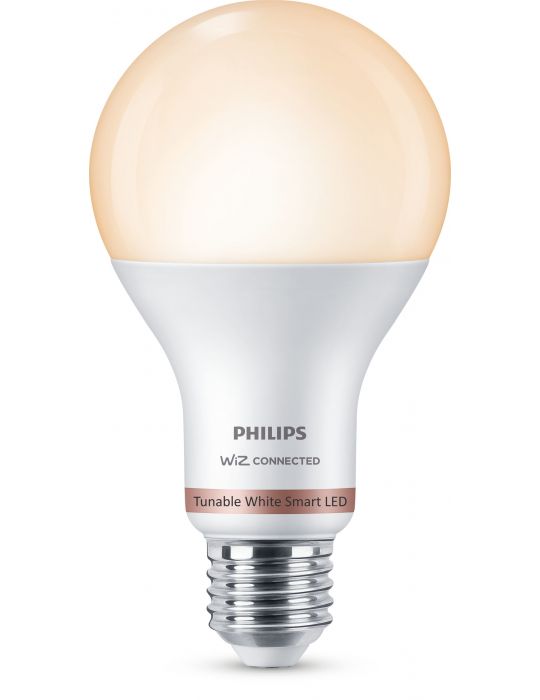 Philips Bec 13 W (echivalent cu 100 W) A67 E27 Philips by Signify - 1