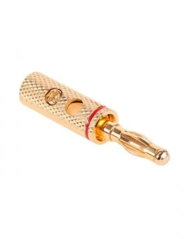 Mufa banana tata gold  - 1 - Tik.ro