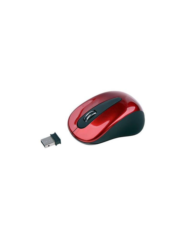 Mouse optic wireless zap intex