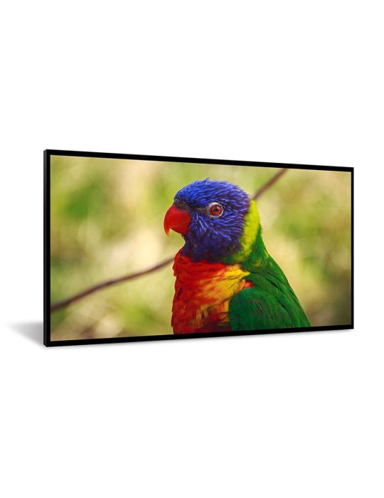 DynaScan LCD display DI651ST2 - 165 cm (65) class - 1920 x 1080 Full HD Dynascan - 1