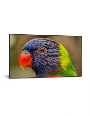 DynaScan LED-Display DS752LR4 - 190.5 cm (75) - 3840 x 2160 4K UHD Dynascan - 1 - Tik.ro