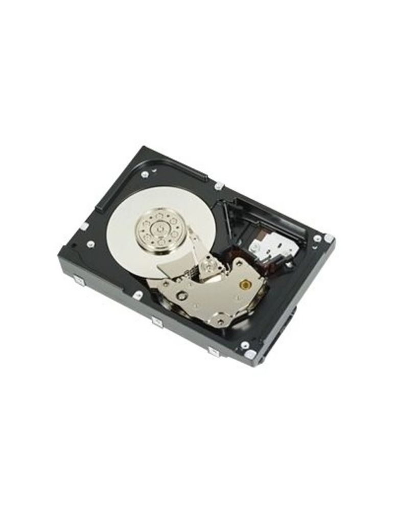 DELL 400-BBFI hard disk-uri interne 2.5" 1200 Giga Bites SAS