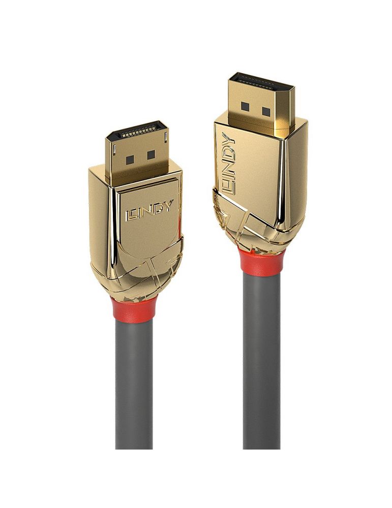 Lindy 36292 cablu DisplayPort 2 m De aur