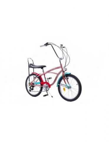 Mersul pe bicicleta nu se uita niciodata. prima ta bicla Pegas - 1
