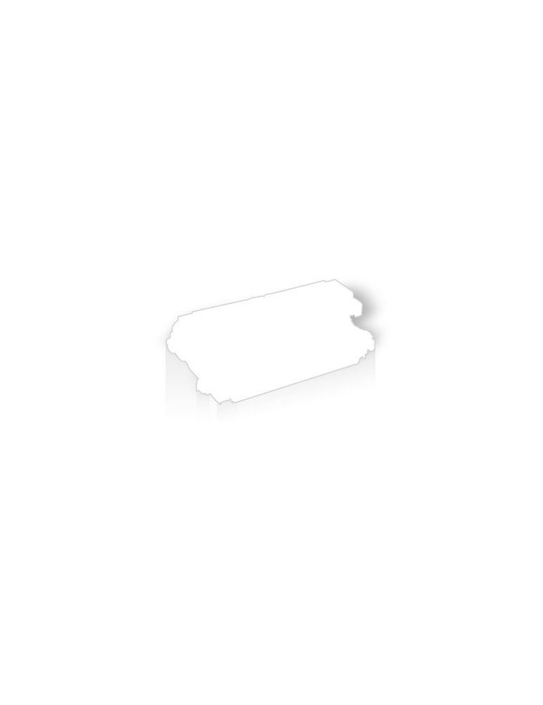 Lexmark 41X0931 kit-uri pentru imprimante