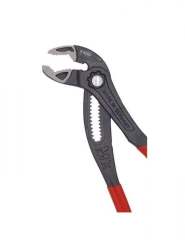 Cleste papagal felo... - Tik.ro