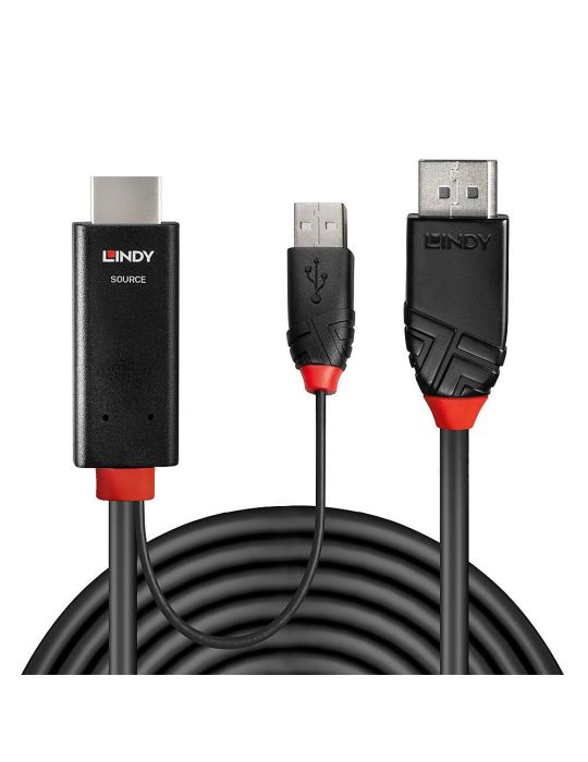 Lindy 41498 adaptor pentru cabluri video 1 m HDMI + USB Type-A DisplayPort Negru