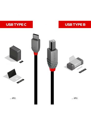 Lindy 36942 cabluri USB 2 m USB 2.0 USB C USB B Negru