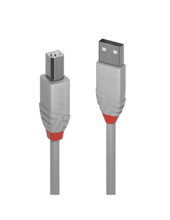 Lindy 36683 cabluri USB 2 m USB 2.0 USB A USB B Gri