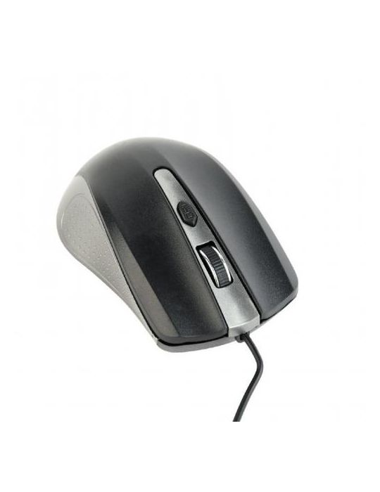 Mouse Optic Gembird MUS-4B-01-GB, USB, Black-Grey Gembird - 1