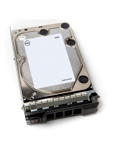 DELL 400-AEFB hard disk-uri interne 3.5" 1000 Giga Bites ATA III Serial - Tik.ro