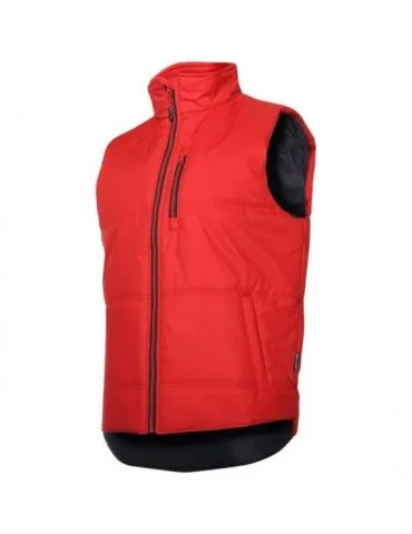 Vesta mediu-captusita /... - Tik.ro