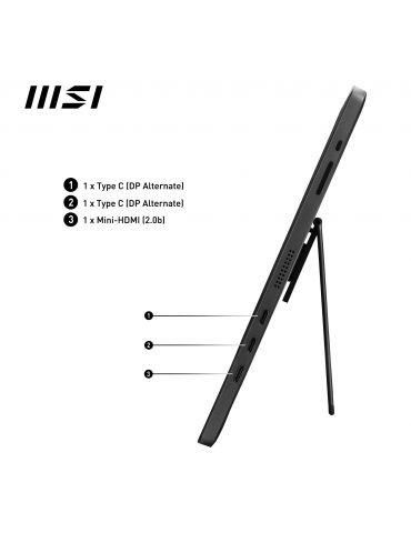 MSI Pro MP161 monitoare LCD 39,6 cm (15.6") 1920 x 1080 Pixel Full HD LED Negru