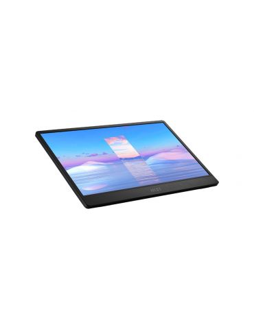 MSI Pro MP161 monitoare LCD 39,6 cm (15.6") 1920 x 1080 Pixel Full HD LED Negru