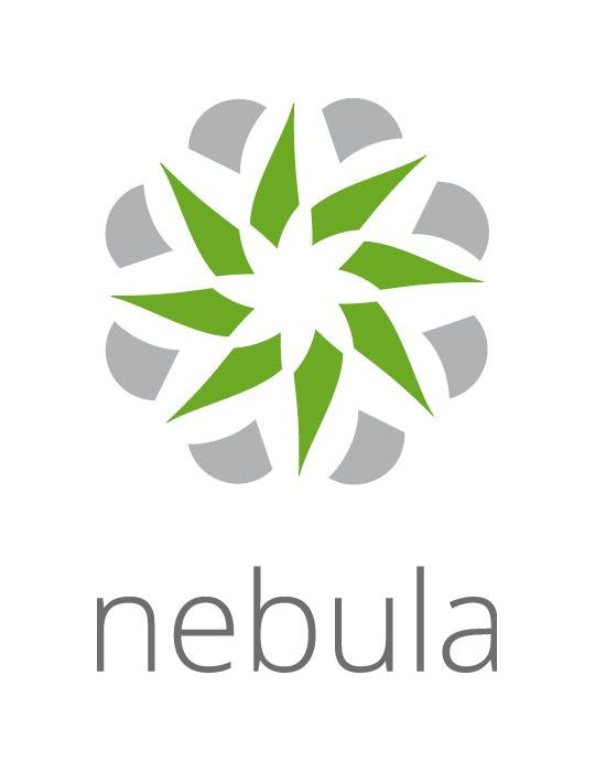 Zyxel LIC-NSS-SP-ZZ0004F licențe actualizări de software 1 licență(e) Licență 1 An(i)