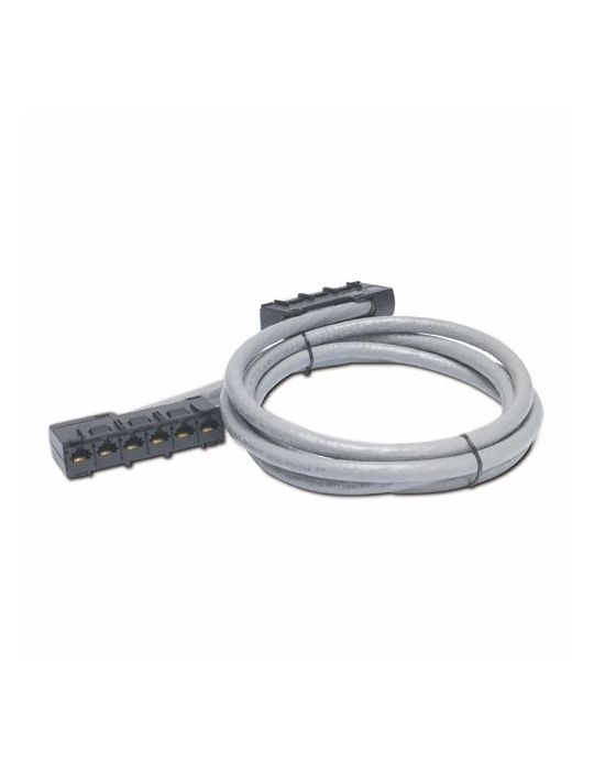 APC 35ft Cat5e UTP, 6x RJ-45 - 6x RJ-45 cabluri de rețea Gri 10,67 m U UTP (UTP)