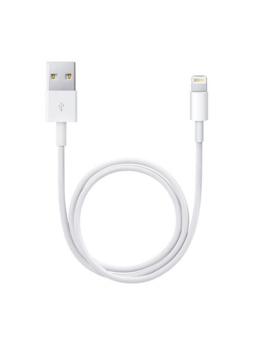 Apple lightning to usb cable (0.5 m) Apple - 1