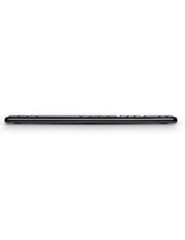 Logitech Desktop MK120 tastaturi Mouse inclus USB Evrei Negru