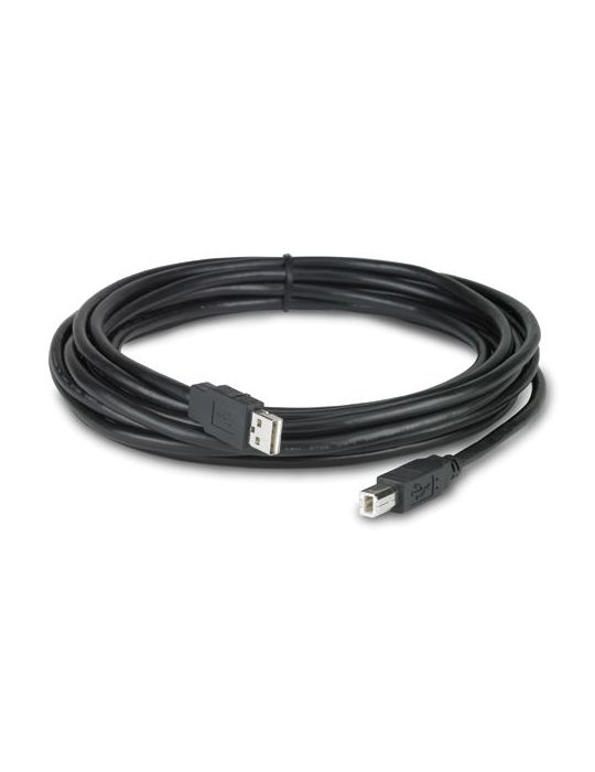 APC NetBotz USB Latching Cable, Plenum, 5m cabluri USB 5,00 m USB A USB B Negru