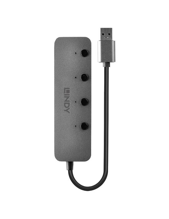 Lindy 43309 hub-uri de interfață USB 3.2 Gen 1 (3.1 Gen 1) Type-A 5 Mbit s Gri