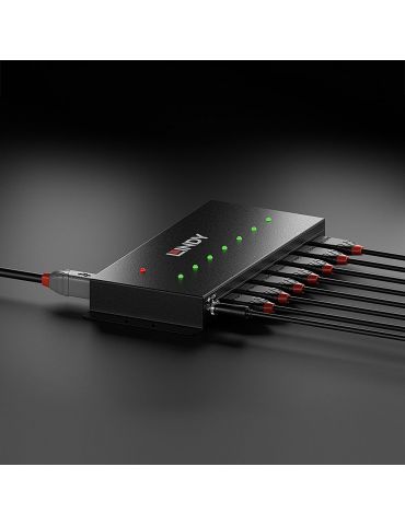 Lindy 43128 hub-uri de interfață 5000 Mbit s Negru