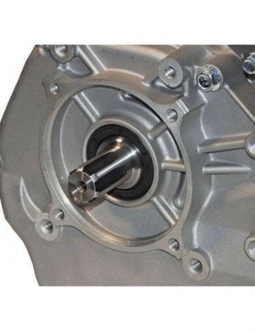 Panda PD190F - Motor benzina 16CP 420cc 1C 4T OHV euro5 ax canelat Progarden - 1